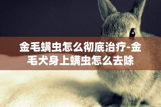 金毛螨蟲怎么徹底治療-金毛犬身上螨蟲怎么去除