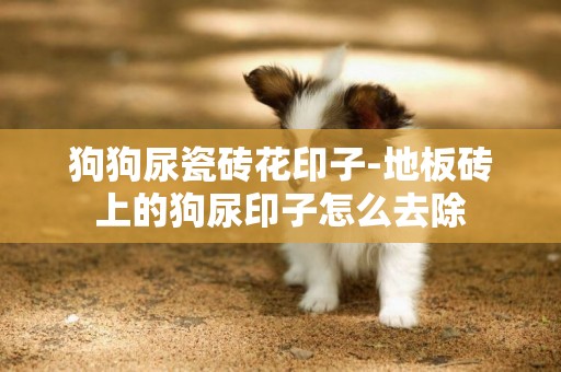 狗狗尿瓷磚花印子-地板磚上的狗尿印子怎么去除