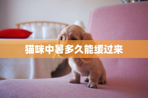 貓咪中暑多久能緩過來