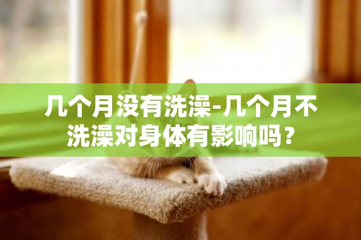 幾個月沒有洗澡-幾個月不洗澡對身體有影響嗎？