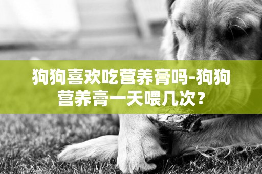 狗狗喜歡吃營養膏嗎-狗狗營養膏一天喂幾次？