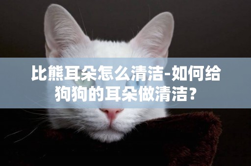 比熊耳朵怎么清潔-如何給狗狗的耳朵做清潔？
