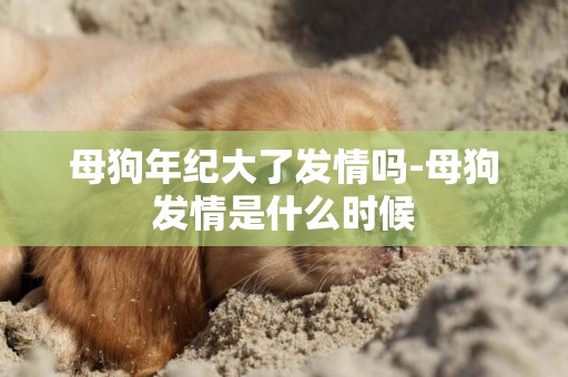 母狗年紀大了發情嗎-母狗發情是什么時候
