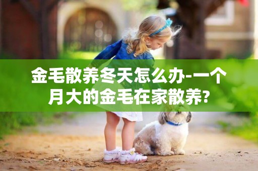 金毛散養冬天怎么辦-一個月大的金毛在家散養?