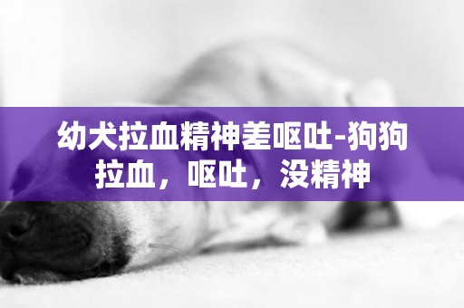幼犬拉血精神差嘔吐-狗狗拉血，嘔吐，沒精神