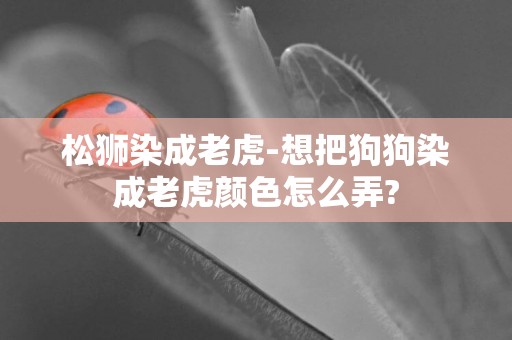 松獅染成老虎-想把狗狗染成老虎顏色怎么弄?