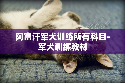 阿富汗軍犬訓練所有科目-軍犬訓練教材