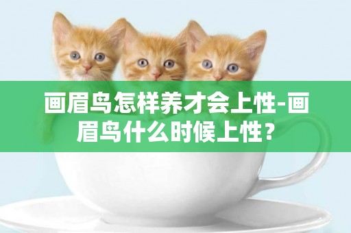 畫眉鳥怎樣養才會上性-畫眉鳥什么時候上性？