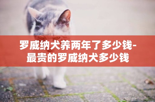 羅威納犬養兩年了多少錢-最貴的羅威納犬多少錢