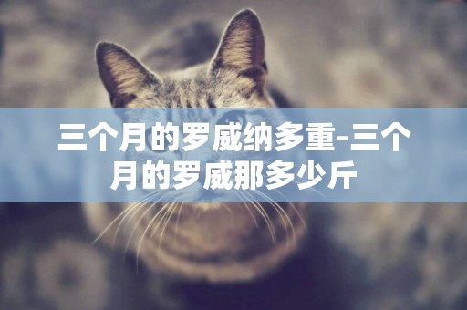 三個月的羅威納多重-三個月的羅威那多少斤