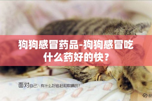 狗狗感冒藥品-狗狗感冒吃什么藥好的快？