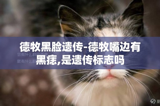 德牧黑臉遺傳-德牧嘴邊有黑痣,是遺傳標志嗎