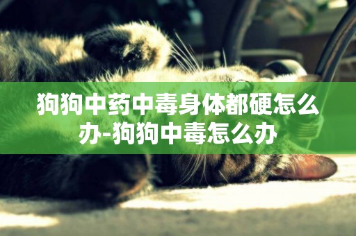 狗狗中藥中毒身體都硬怎么辦-狗狗中毒怎么辦