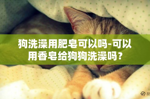 狗洗澡用肥皂可以嗎-可以用香皂給狗狗洗澡嗎？