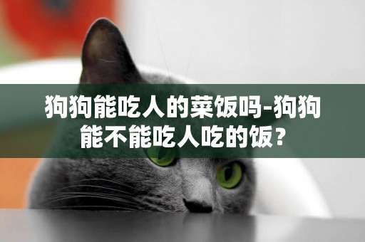 狗狗能吃人的菜飯嗎-狗狗能不能吃人吃的飯？