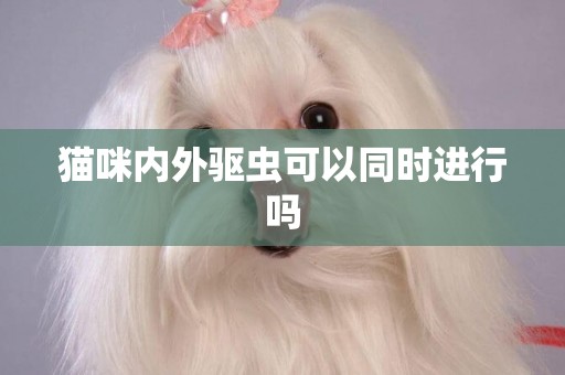 貓咪內外驅蟲可以同時進行嗎
