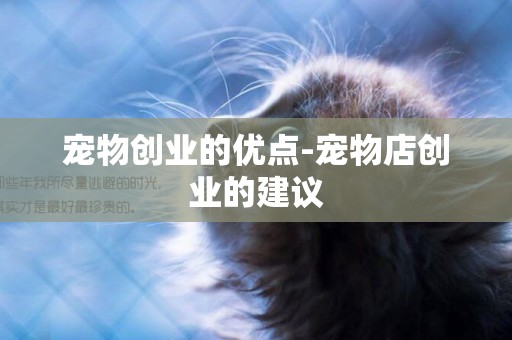 寵物創業的優點-寵物店創業的建議