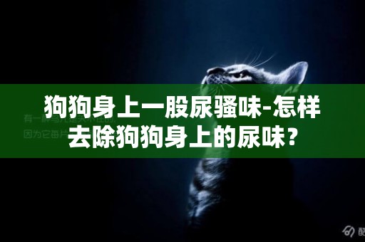 狗狗身上一股尿騷味-怎樣去除狗狗身上的尿味？