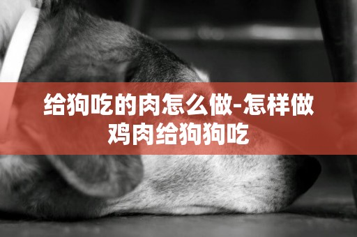 給狗吃的肉怎么做-怎樣做雞肉給狗狗吃
