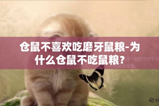 倉鼠不喜歡吃磨牙鼠糧-為什么倉鼠不吃鼠糧？