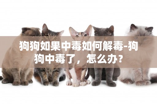 狗狗如果中毒如何解毒-狗狗中毒了，怎么辦？