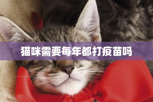貓咪需要每年都打疫苗嗎