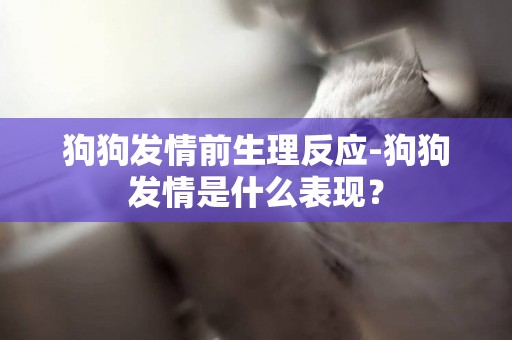 狗狗發情前生理反應-狗狗發情是什么表現？