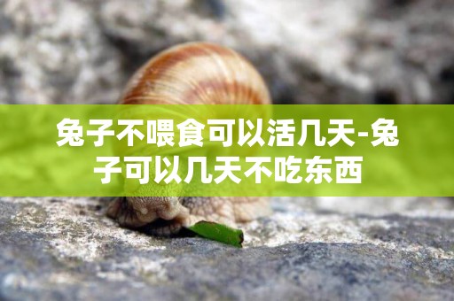 兔子不喂食可以活幾天-兔子可以幾天不吃東西