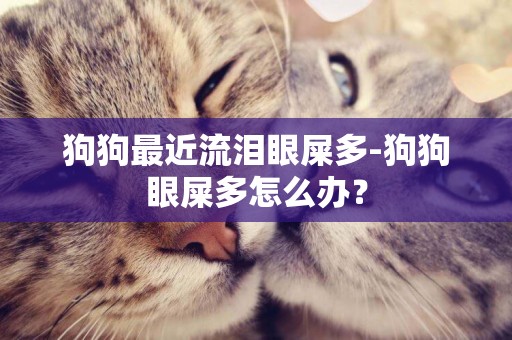 狗狗最近流淚眼屎多-狗狗眼屎多怎么辦？