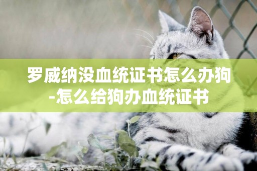 羅威納沒血統證書怎么辦狗-怎么給狗辦血統證書