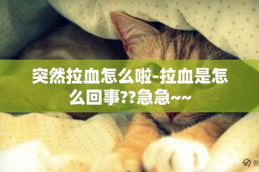 突然拉血怎么啦-拉血是怎么回事??急急~~