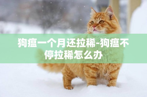 狗瘟一個月還拉稀-狗瘟不停拉稀怎么辦
