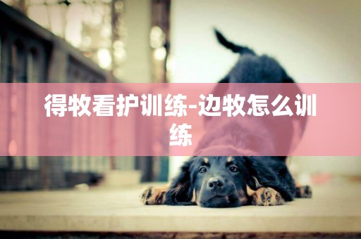 得牧看護訓練-邊牧怎么訓練
