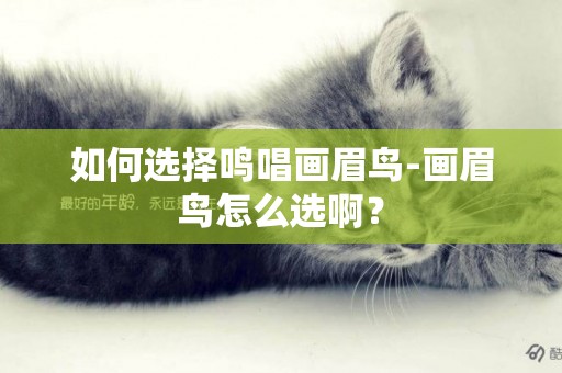 如何選擇鳴唱畫眉鳥-畫眉鳥怎么選啊？