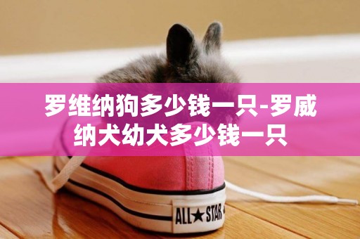 羅維納狗多少錢一只-羅威納犬幼犬多少錢一只