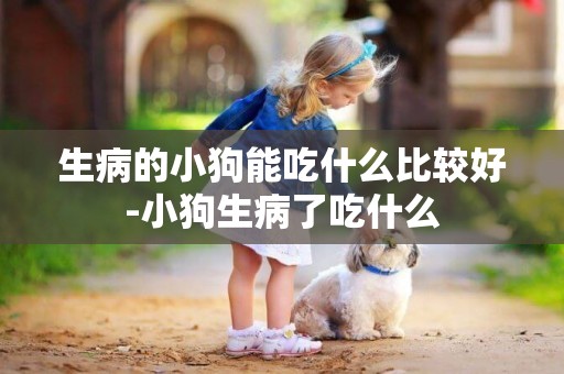 生病的小狗能吃什么比較好-小狗生病了吃什么