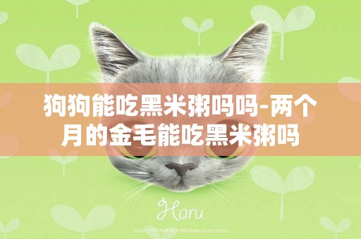 狗狗能吃黑米粥嗎嗎-兩個月的金毛能吃黑米粥嗎