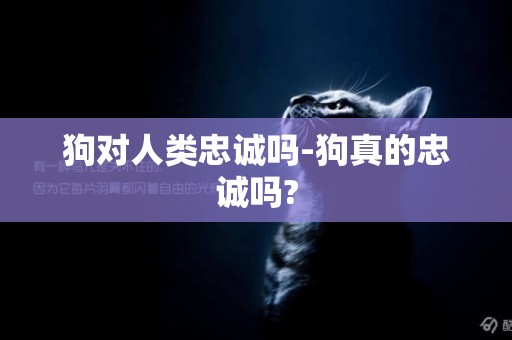 狗對人類忠誠嗎-狗真的忠誠嗎?