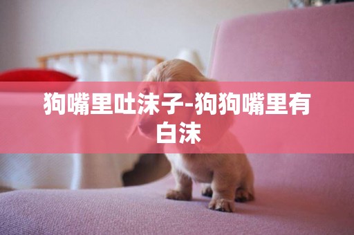 狗嘴里吐沫子-狗狗嘴里有白沫