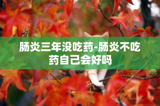 腸炎三年沒吃藥-腸炎不吃藥自己會好嗎