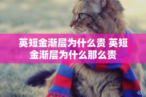 英短金漸層為什么貴 英短金漸層為什么那么貴