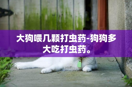 大狗喂幾顆打蟲藥-狗狗多大吃打蟲藥。