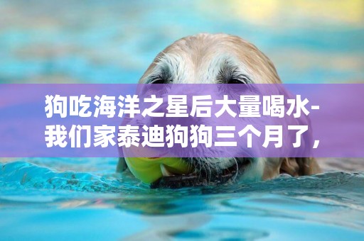 狗吃海洋之星后大量喝水-我們家泰迪狗狗三個月了，前面一直都吃的海洋之星，可現在越長越大了，是中型泰迪