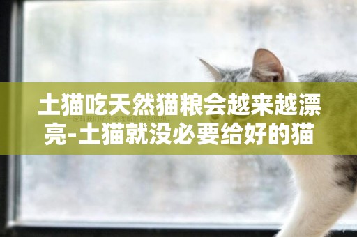 土貓吃天然貓糧會越來越漂亮-土貓就沒必要給好的貓糧吃嗎