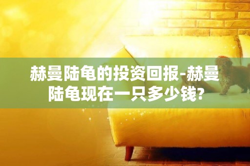 赫曼陸龜的投資回報-赫曼陸龜現在一只多少錢?