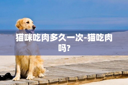貓咪吃肉多久一次-貓吃肉嗎?