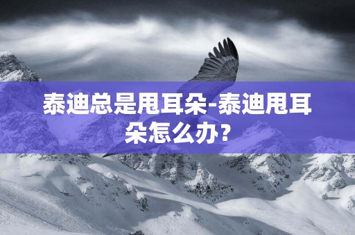 泰迪總是甩耳朵-泰迪甩耳朵怎么辦？
