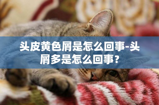 頭皮黃色屑是怎么回事-頭屑多是怎么回事？