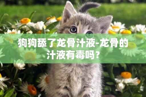 狗狗舔了龍骨汁液-龍骨的汁液有毒嗎？