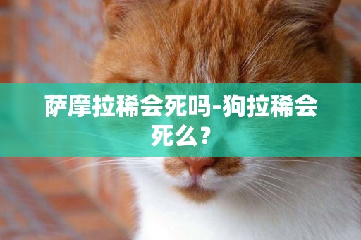 薩摩拉稀會死嗎-狗拉稀會死么？